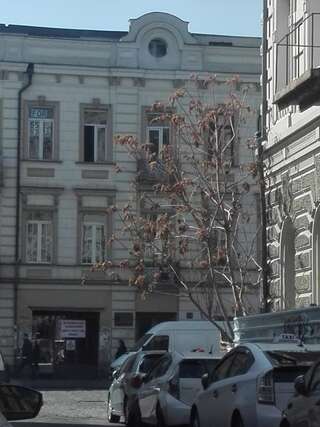 Апарт-отели Gorgeous 2 Тбилиси-1